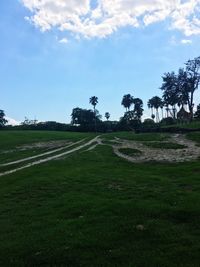 Scenic view of field against sky