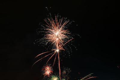 Low angle view of firework display at night