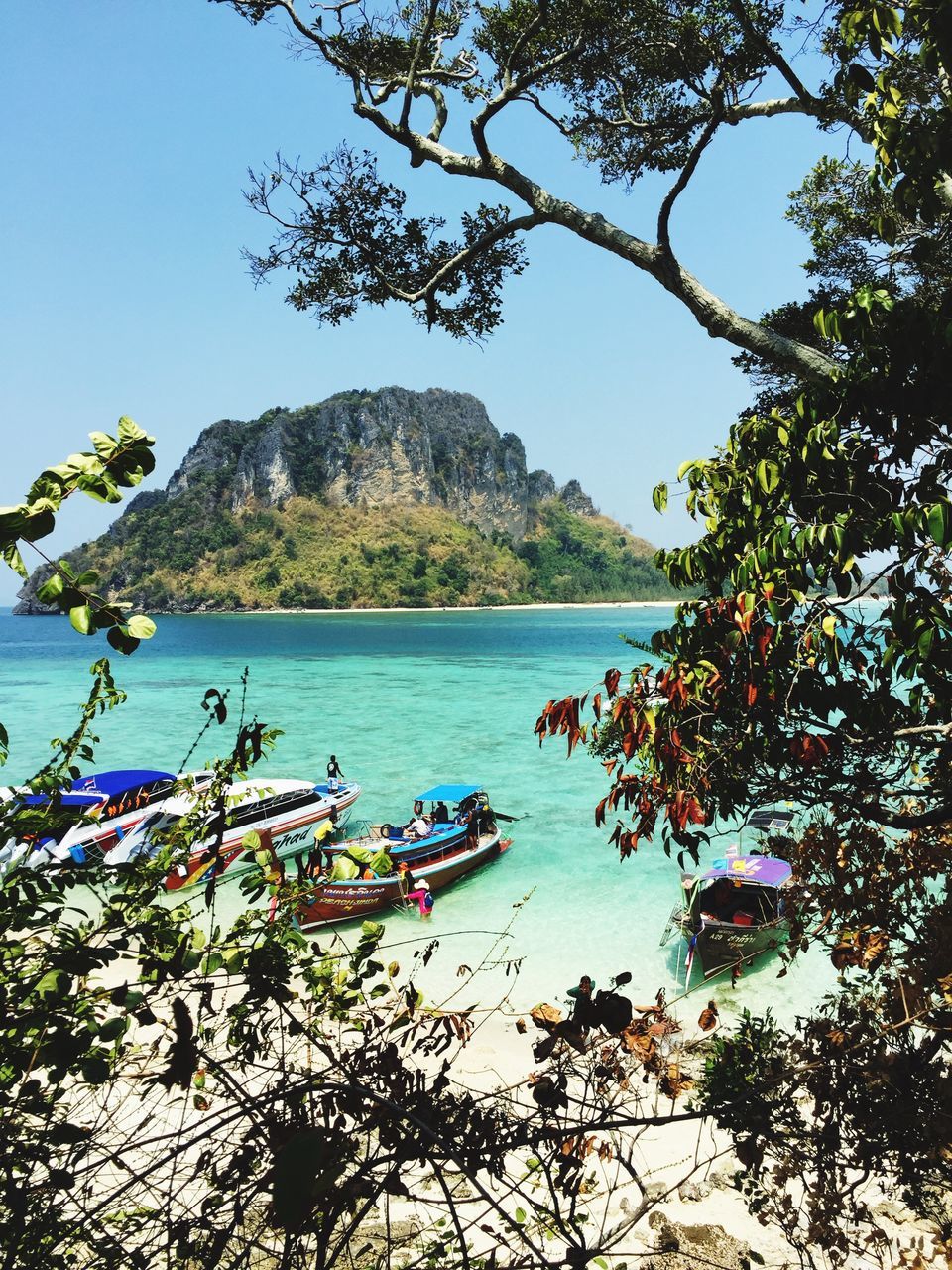 water, tree, mountain, tranquility, tranquil scene, beauty in nature, scenics, clear sky, blue, nature, lake, branch, mountain range, nautical vessel, growth, sky, river, idyllic, sea, day