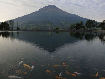 Scenic view of lake and mountains