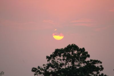 Low angle view of silhouette tree against sky at sunset