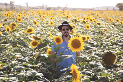 View of sunflowers on land