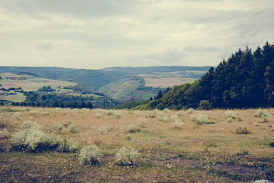 Scenic view of landscape against cloudy sky