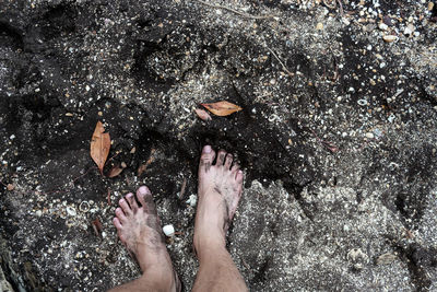 Low section of woman with legs in water