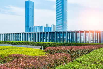 Flowering plants by modern buildings against sky