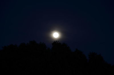 Low angle view of silhouette trees against sky at night