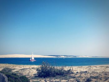 Scenic view of sea against clear sky