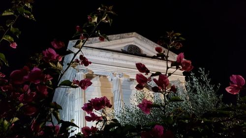 Low angle view of pink flowering plants by building