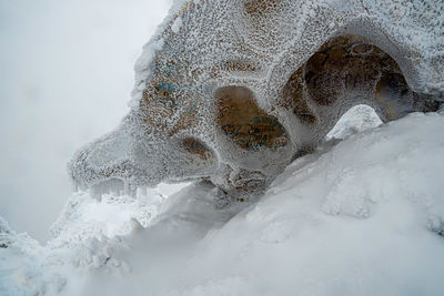 Close-up of frozen water on land