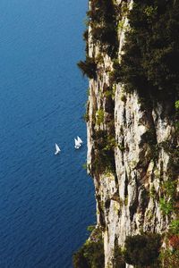 High angle view of birds flying over sea