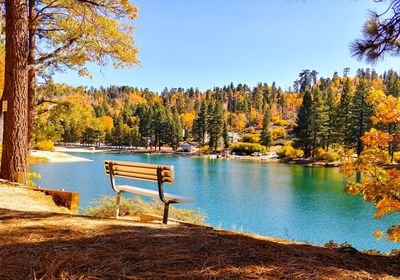 Scenic view of lake against trees during autumn