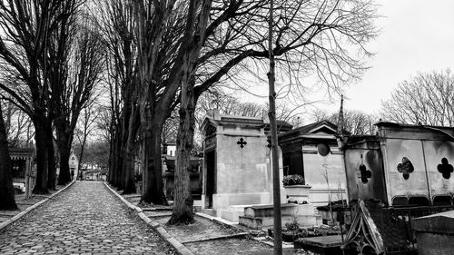 Footpath amidst bare trees and buildings against sky