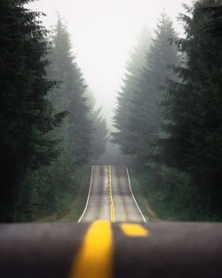 Road amidst trees in forest