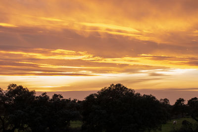 Silhouette trees on landscape against romantic sky at sunset