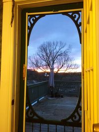 Bare trees against yellow sky