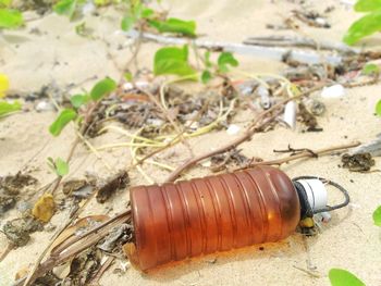 High angle view of garbage can on field