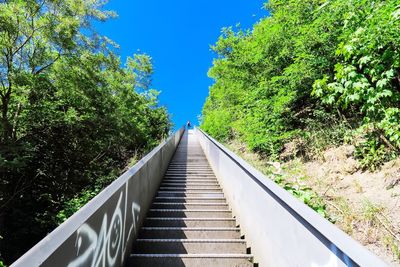 Low angle view of steps amidst trees against clear blue sky
