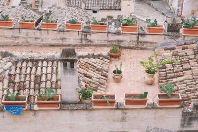 High angle view of potted plants outside building