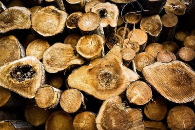 Full frame shot of logs