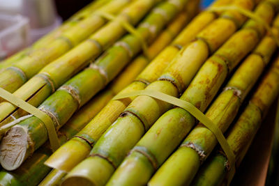 Close-up of sugar canes in market for sale