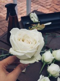 Close-up of hand holding rose bouquet