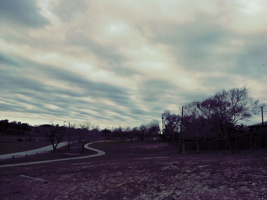 sky, cloud - sky, tree, cloudy, tranquility, landscape, tranquil scene, field, nature, cloud, scenics, beauty in nature, bare tree, outdoors, the way forward, growth, no people, overcast, road, fence