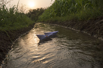 Paper boats floating in stream amidst plants