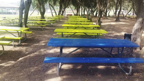 Empty chairs against trees