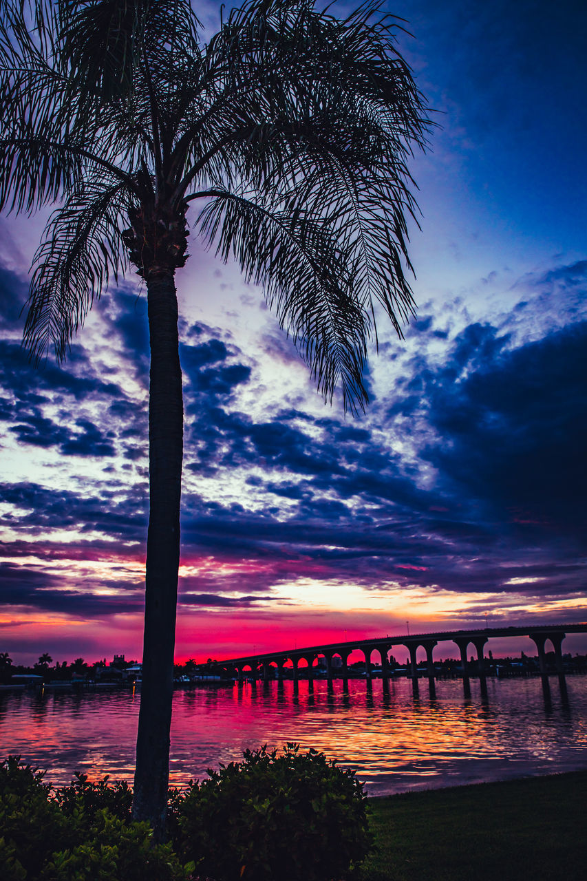 PALM TREE BY BRIDGE AGAINST SKY DURING SUNSET