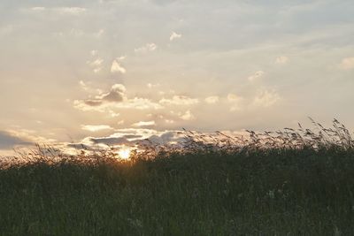 Scenic view of field against sky during sunset