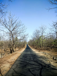 Empty road along bare trees against clear sky