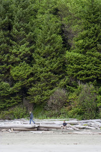 Men at beach against trees in pacific rim national park reserve