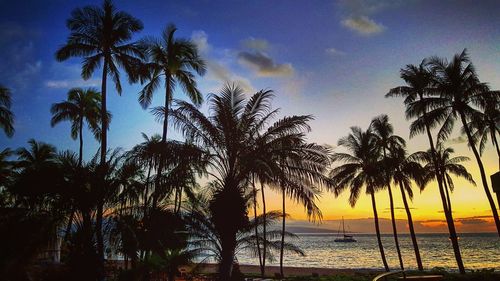 Silhouette palm trees on beach against sky during sunset