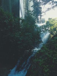 Scenic view of waterfall