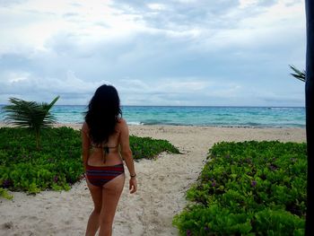 Rear view of young woman standing on beach