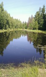 reflection