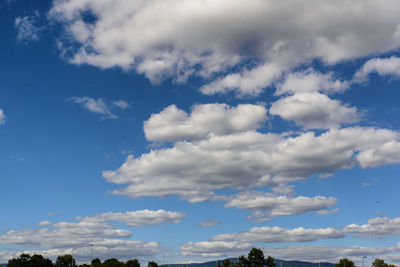 Low angle view of trees against blue sky