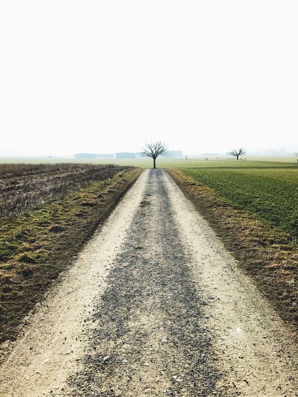 VIEW OF ROAD AGAINST CLEAR SKY