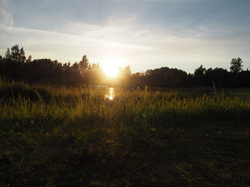 Scenic view of field against sky during sunset