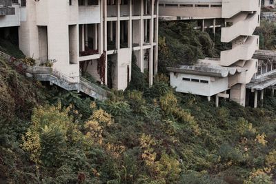 Abandoned building by trees