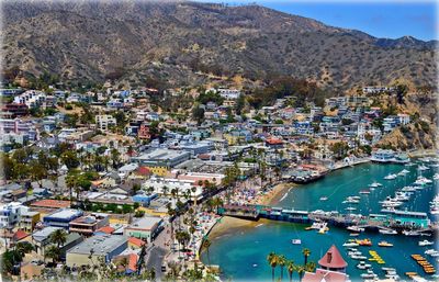 High angle view of coastal town