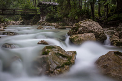 Scenic view of waterfall in forest