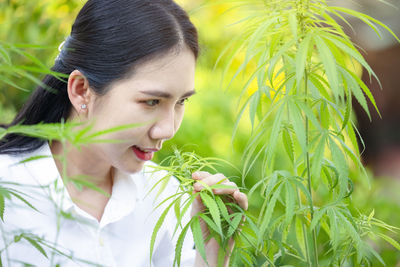 Portrait of doctor checking and analizing hemp plants, marijuana research, cbd oil, concept 