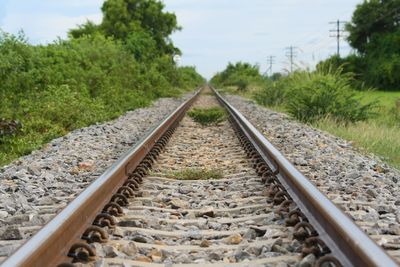 Railway tracks along trees