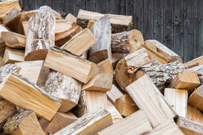 Stack of wooden logs in forest