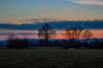 Silhouette trees on field against sky at sunset