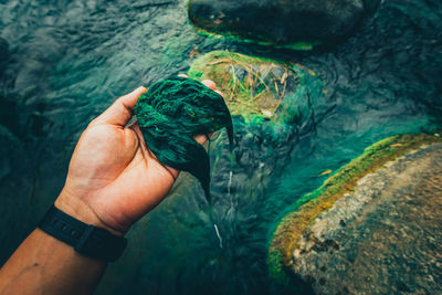 Close-up of hand holding water. moss on the rocks in the river