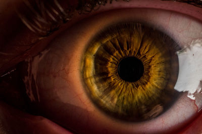 Close-up of human eye