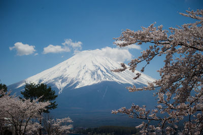 Low angle view of snowcapped mountains against blue sky