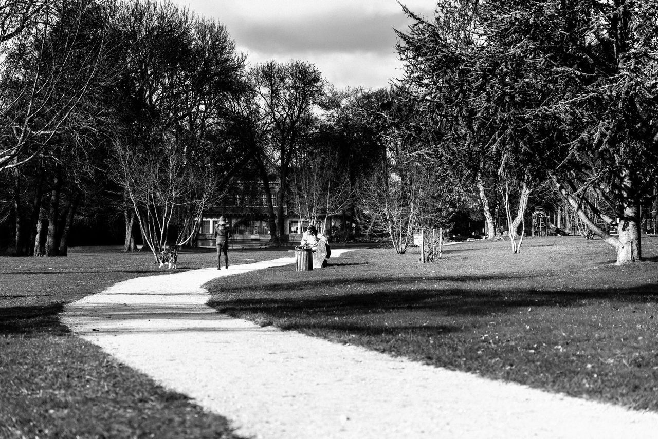 tree, plant, nature, park, day, shadow, sunlight, park - man made space, growth, grass, outdoors, men, land, group of people, lifestyles, sky, leisure activity, real people, field, tranquility